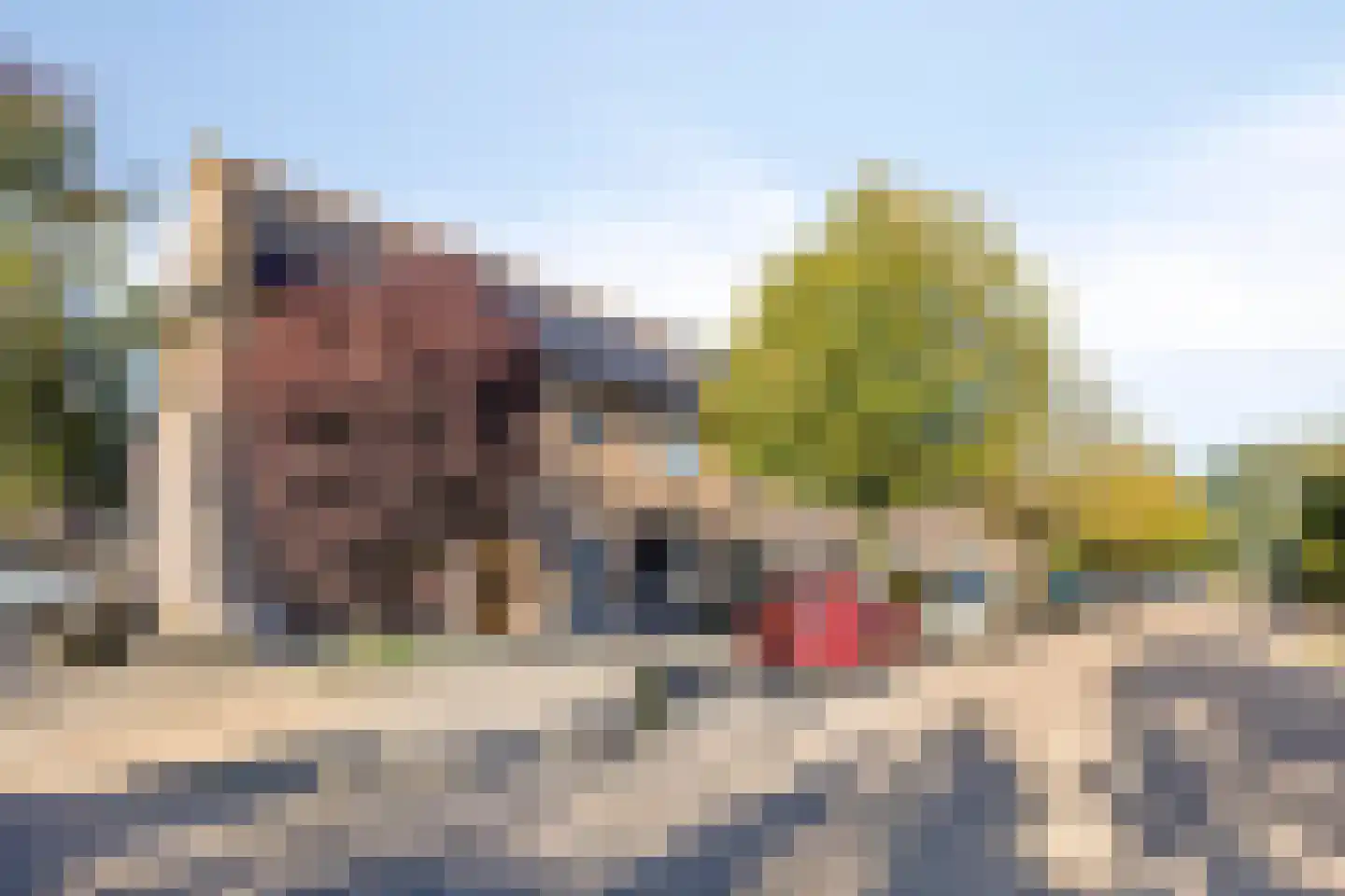 Blauwe Reiger 1 Etten-Leur thumbnail 33