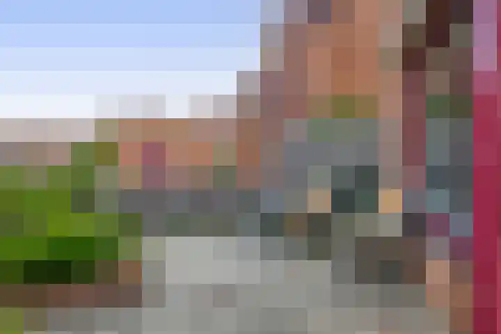 Blauwe Reiger 10 Hardinxveld-Giessendam thumbnail 30