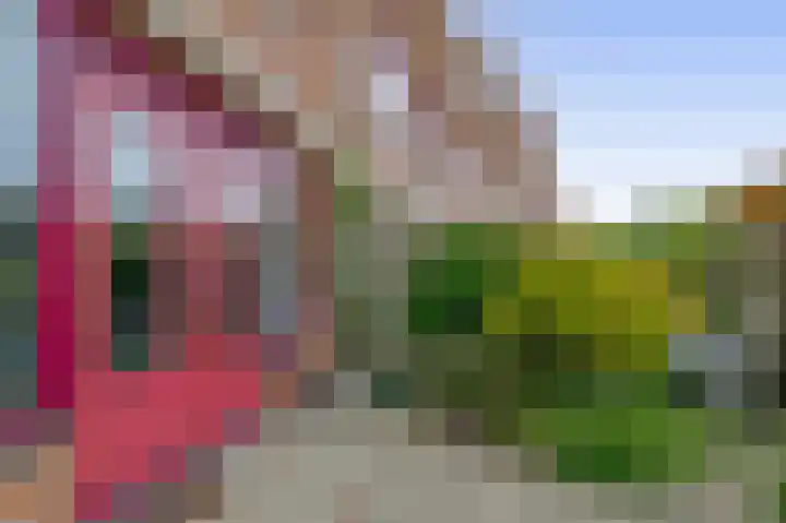 Blauwe Reiger 10 Hardinxveld-Giessendam thumbnail 31