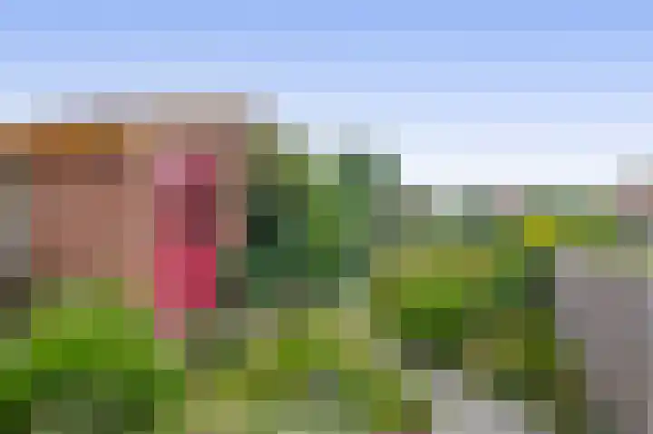 Blauwe Reiger 10 Hardinxveld-Giessendam thumbnail 32
