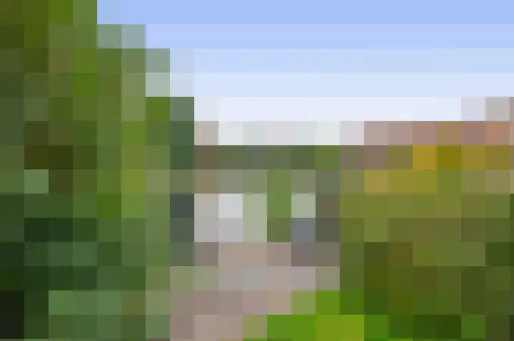 Blauwe Reiger 10 Hardinxveld-Giessendam thumbnail 35