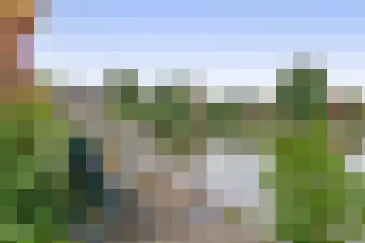 Blauwe Reiger 10 Hardinxveld-Giessendam thumbnail 36