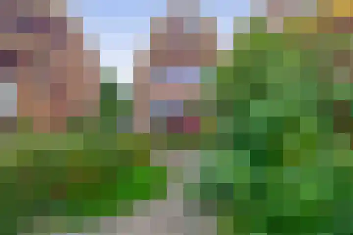 Blauwe Reiger 10 Hardinxveld-Giessendam thumbnail 38