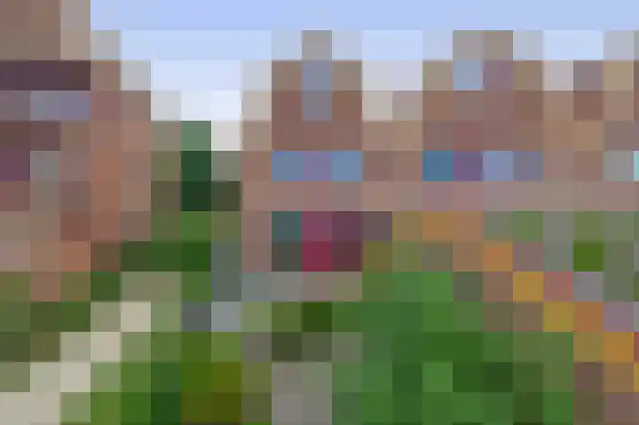 Blauwe Reiger 10 Hardinxveld-Giessendam thumbnail 39