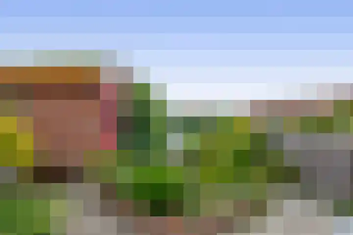 Blauwe Reiger 10 Hardinxveld-Giessendam thumbnail 4