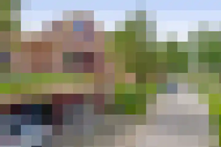 Blauwe Reiger 10 Hardinxveld-Giessendam thumbnail 6
