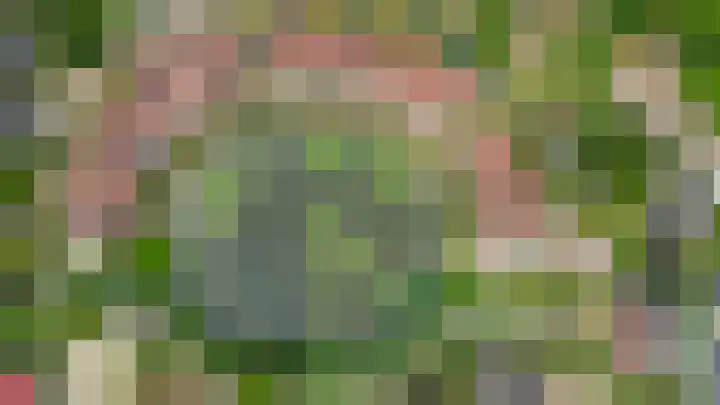 Blauwe Reiger 10 Hardinxveld-Giessendam thumbnail 60