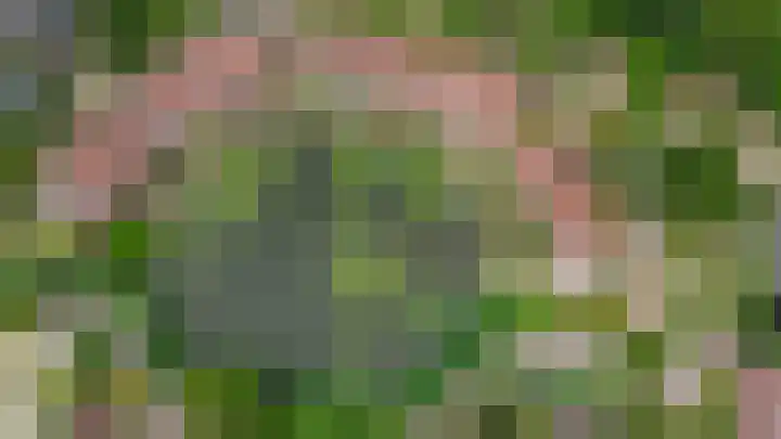 Blauwe Reiger 10 Hardinxveld-Giessendam thumbnail 61