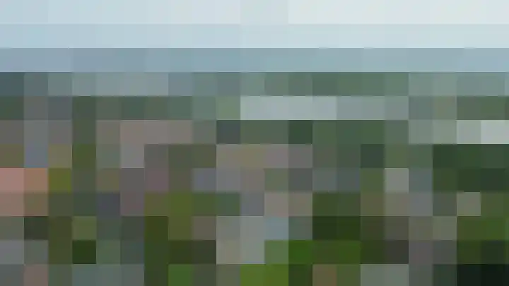 Blauwe Reiger 10 Hardinxveld-Giessendam thumbnail 66