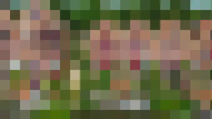 Blauwe Reiger 10 Hardinxveld-Giessendam thumbnail 67