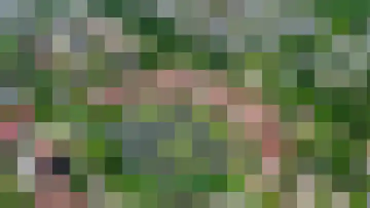 Blauwe Reiger 10 Hardinxveld-Giessendam thumbnail 68
