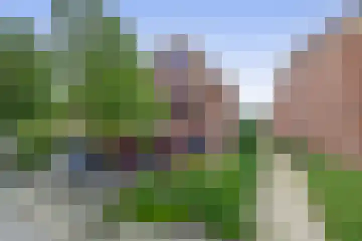 Blauwe Reiger 10 Hardinxveld-Giessendam thumbnail 8