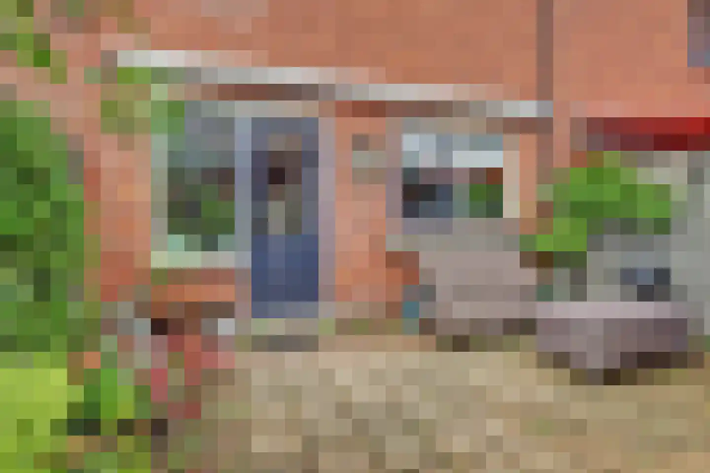 Blauwe Reiger 14 Rozenburg thumbnail 30