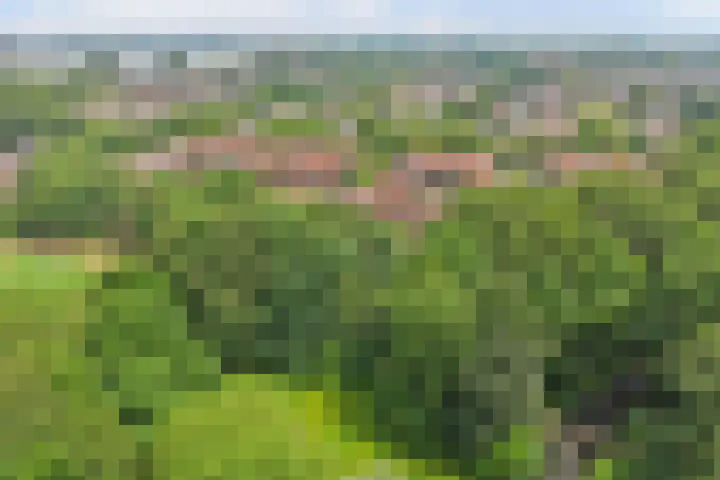 Blauwe Reiger 14 Rozenburg thumbnail 35