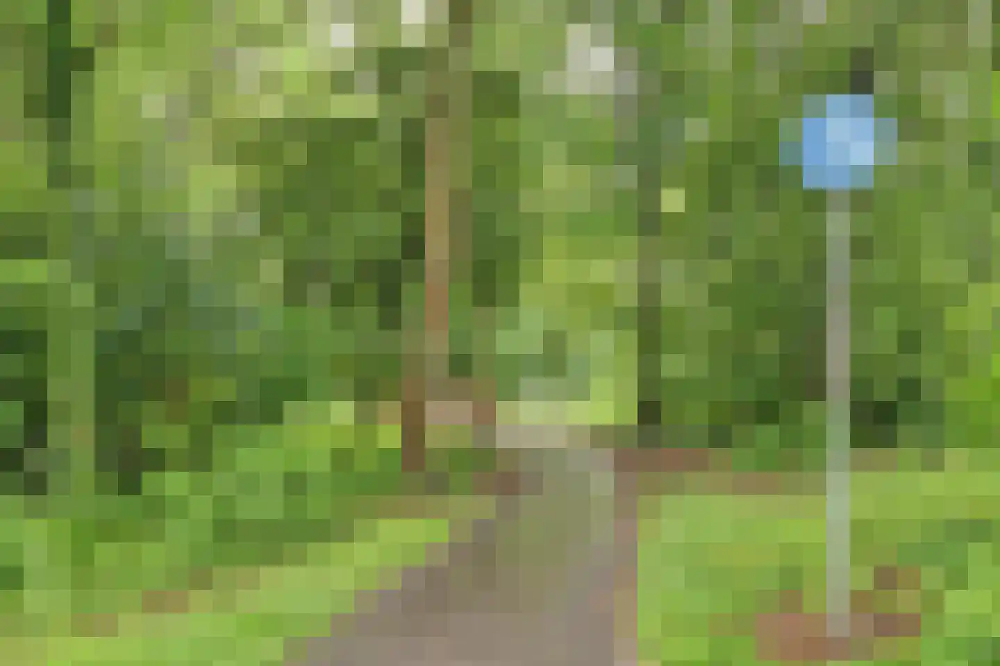 Blauwe Reiger 14 Rozenburg thumbnail 36