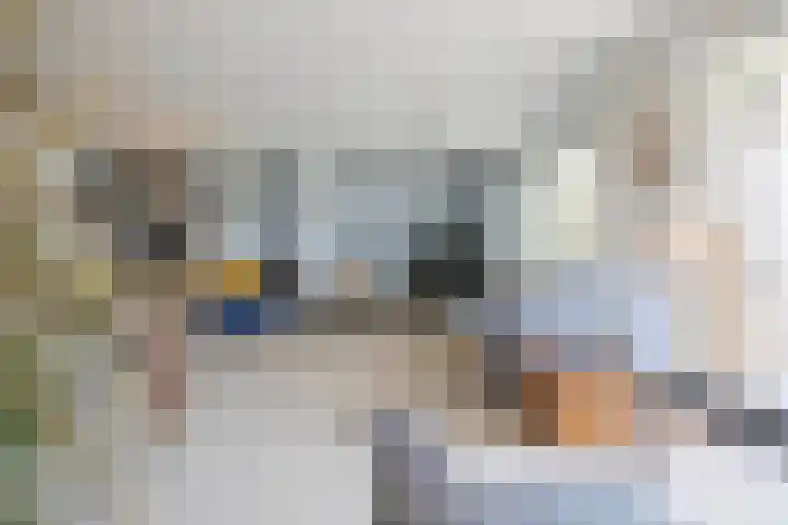 Blauwe Reiger 26 Lathum thumbnail 10