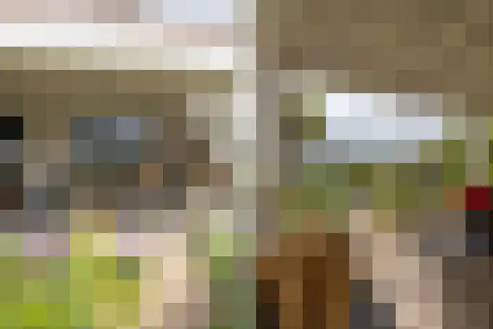 Blauwe Reiger 26 Lathum thumbnail 13