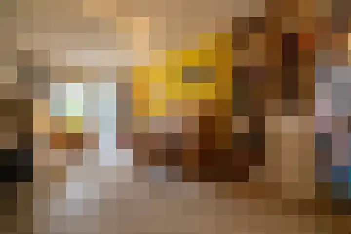 Blauwe Reiger 26 Lathum thumbnail 16