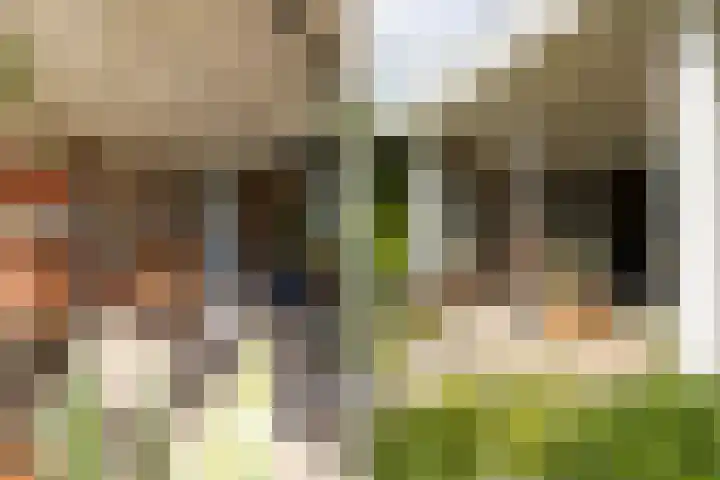 Blauwe Reiger 26 Lathum thumbnail 17