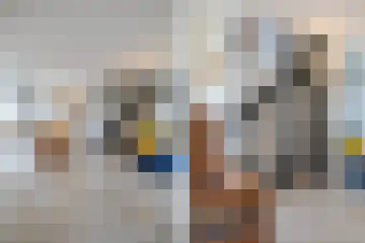 Blauwe Reiger 26 Lathum thumbnail 18