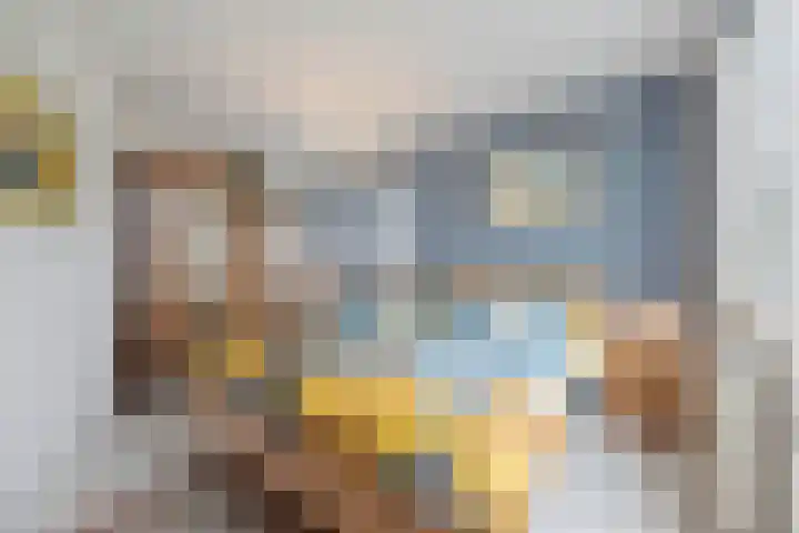 Blauwe Reiger 26 Lathum thumbnail 21