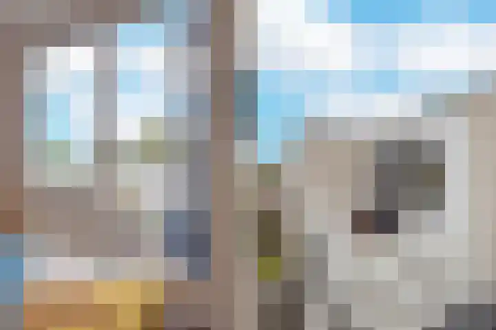 Blauwe Reiger 26 Lathum thumbnail 23