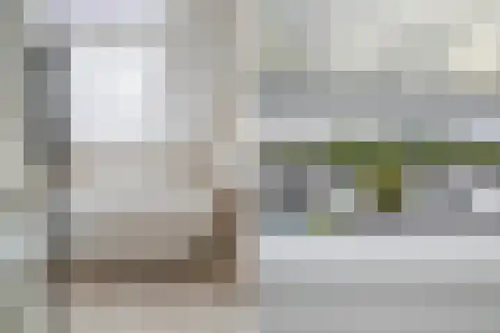 Blauwe Reiger 26 Lathum thumbnail 28