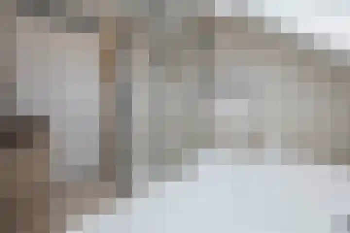 Blauwe Reiger 26 Lathum thumbnail 29