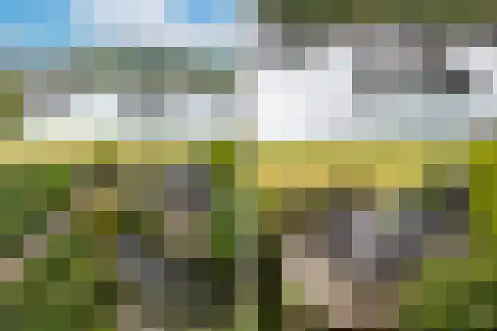 Blauwe Reiger 26 Lathum thumbnail 33
