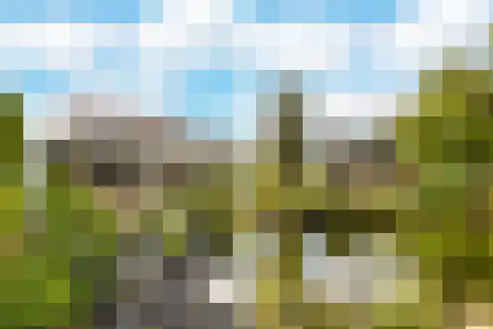 Blauwe Reiger 26 Lathum thumbnail 35