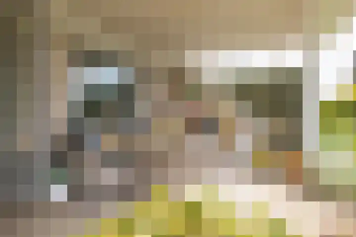 Blauwe Reiger 26 Lathum thumbnail 36