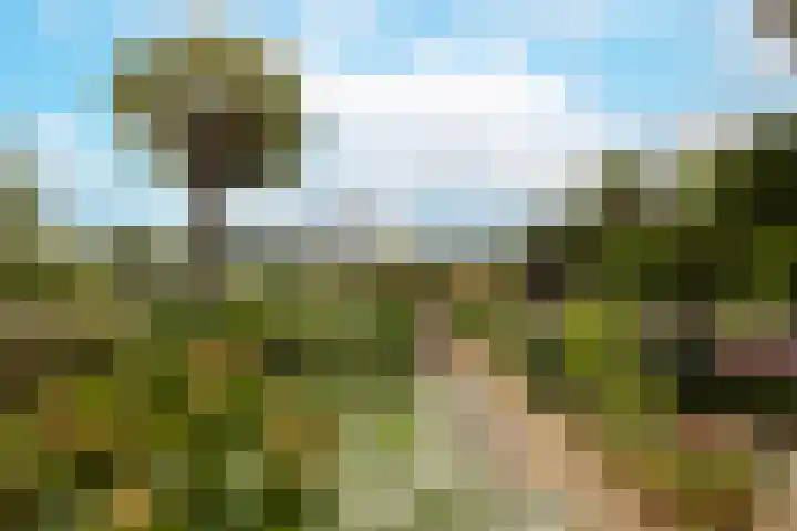 Blauwe Reiger 26 Lathum thumbnail 37