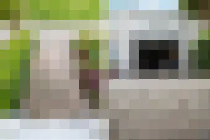 Blauwe Reiger 26 Lathum thumbnail 38