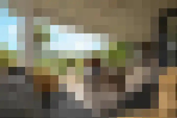 Blauwe Reiger 26 Lathum thumbnail 4