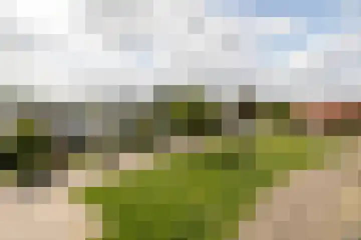 Blauwe Reiger 26 Lathum thumbnail 41