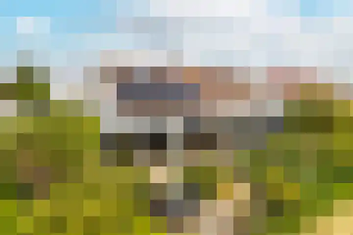 Blauwe Reiger 26 Lathum thumbnail 42