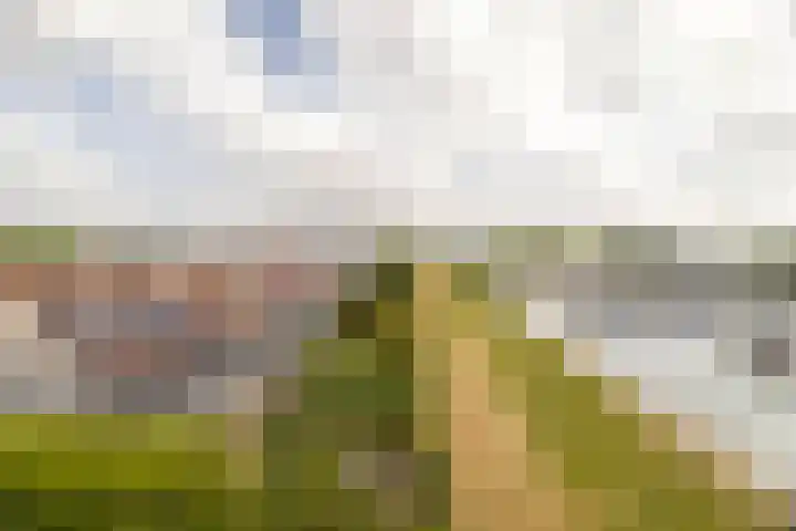 Blauwe Reiger 26 Lathum thumbnail 43