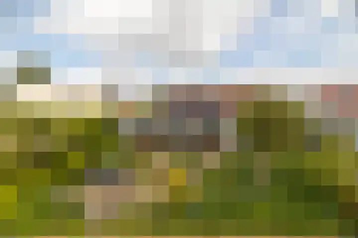 Blauwe Reiger 26 Lathum thumbnail 44