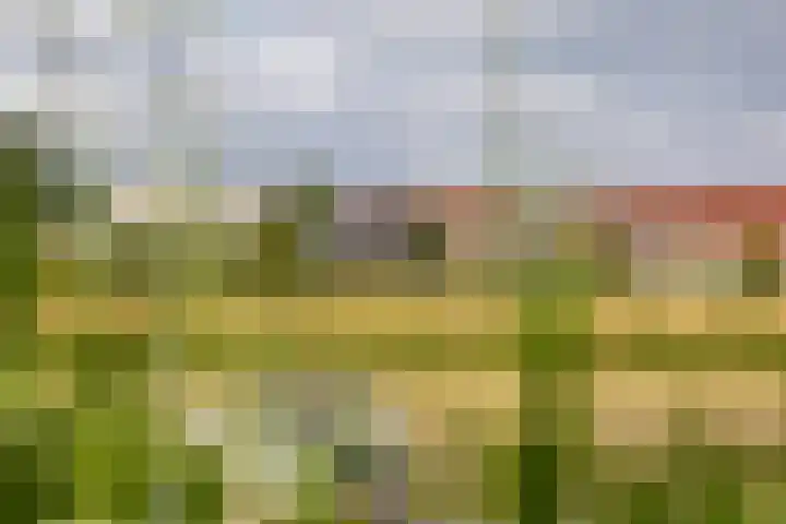 Blauwe Reiger 26 Lathum thumbnail 45