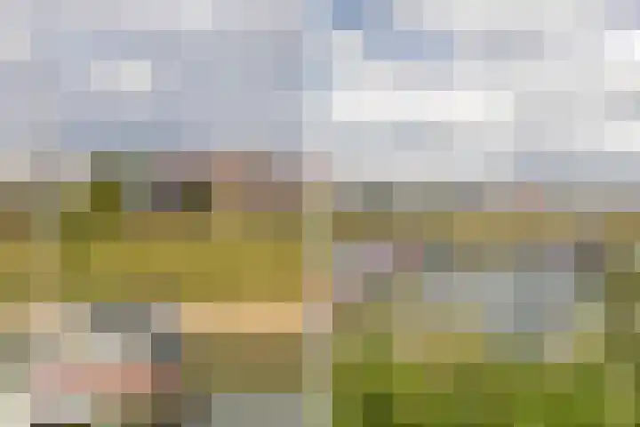 Blauwe Reiger 26 Lathum thumbnail 46