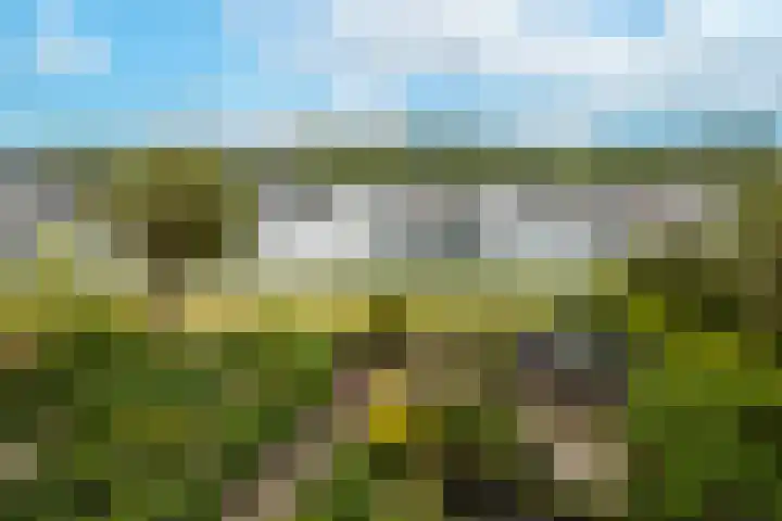 Blauwe Reiger 26 Lathum thumbnail 5