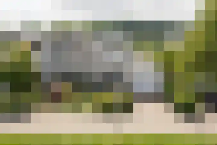 Blauwe Reiger 26 Lathum thumbnail 6