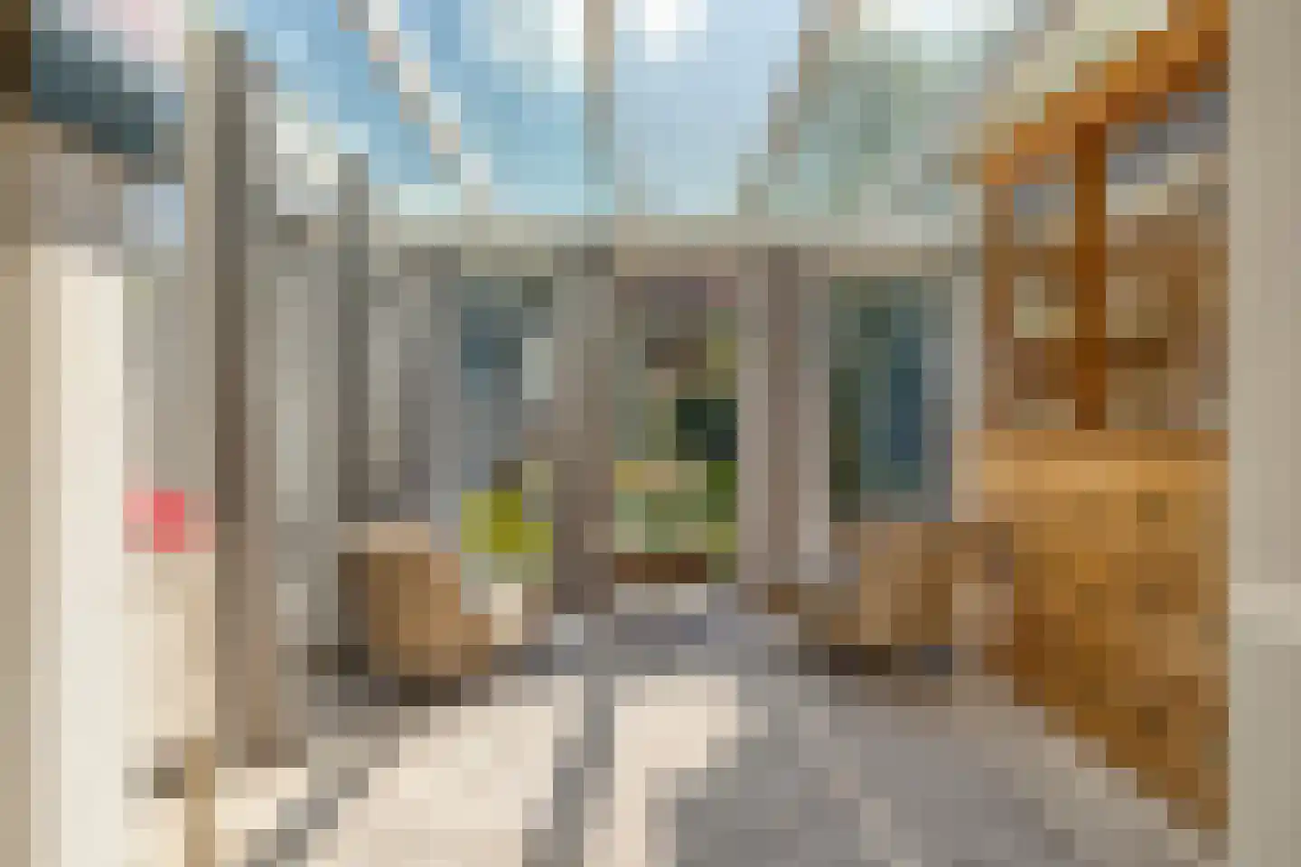 Blauwe Reiger 3 Oostkapelle thumbnail 18
