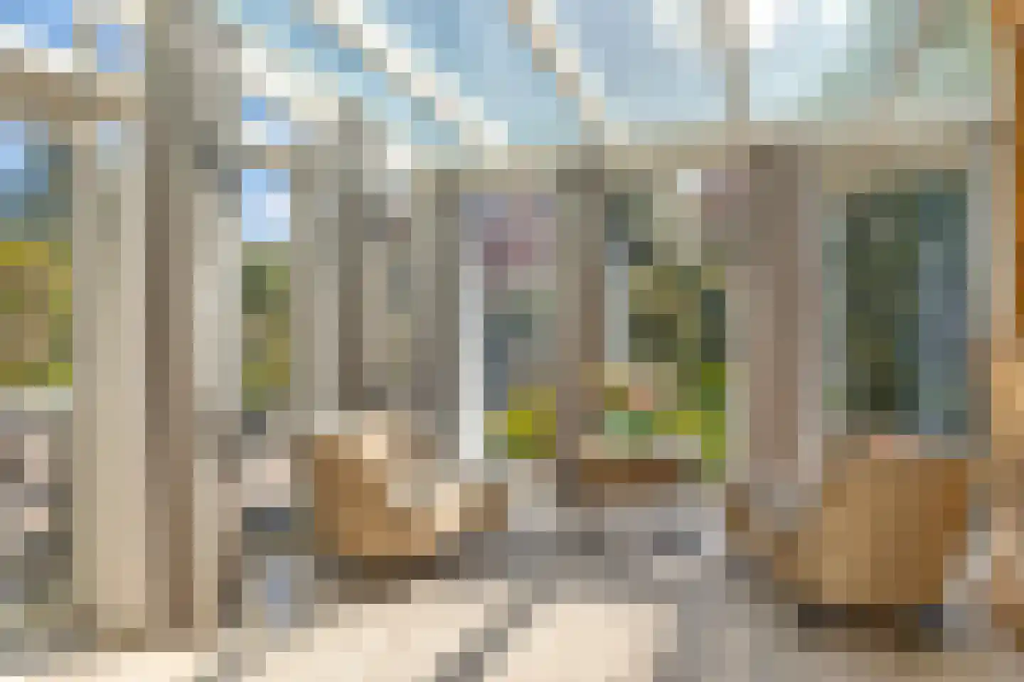 Blauwe Reiger 3 Oostkapelle thumbnail 19