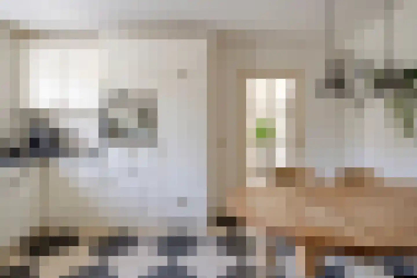 Blauwe Reiger 3 Oostkapelle thumbnail 24