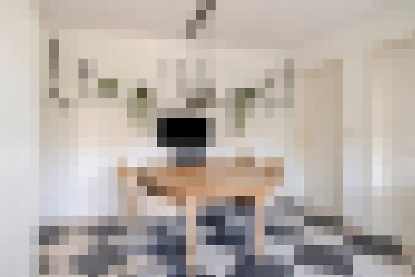 Blauwe Reiger 3 Oostkapelle thumbnail 26
