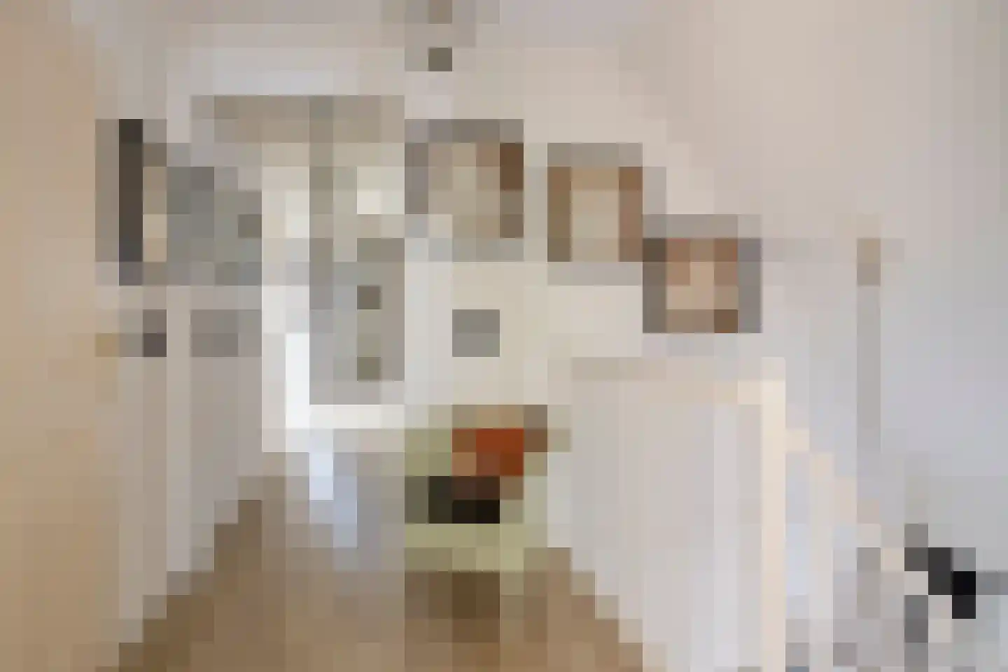 Blauwe Reiger 3 Oostkapelle thumbnail 30