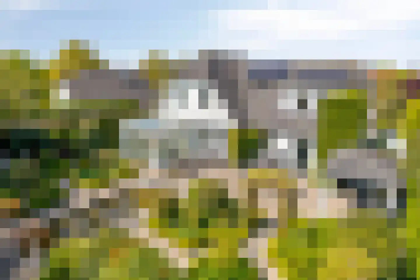 Blauwe Reiger 3 Oostkapelle thumbnail 49