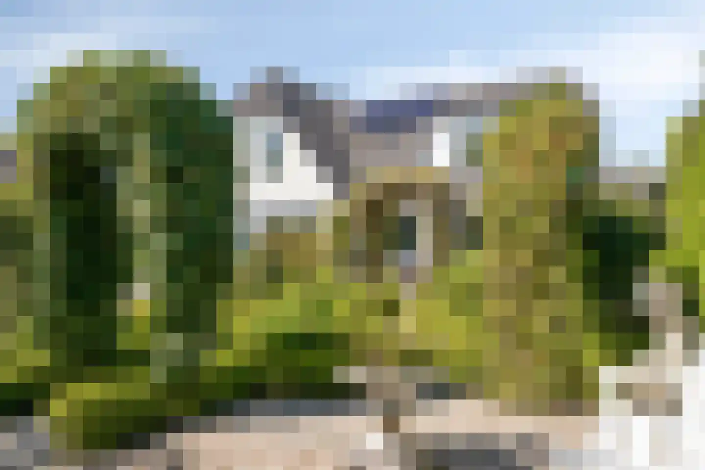 Blauwe Reiger 3 Oostkapelle thumbnail 50