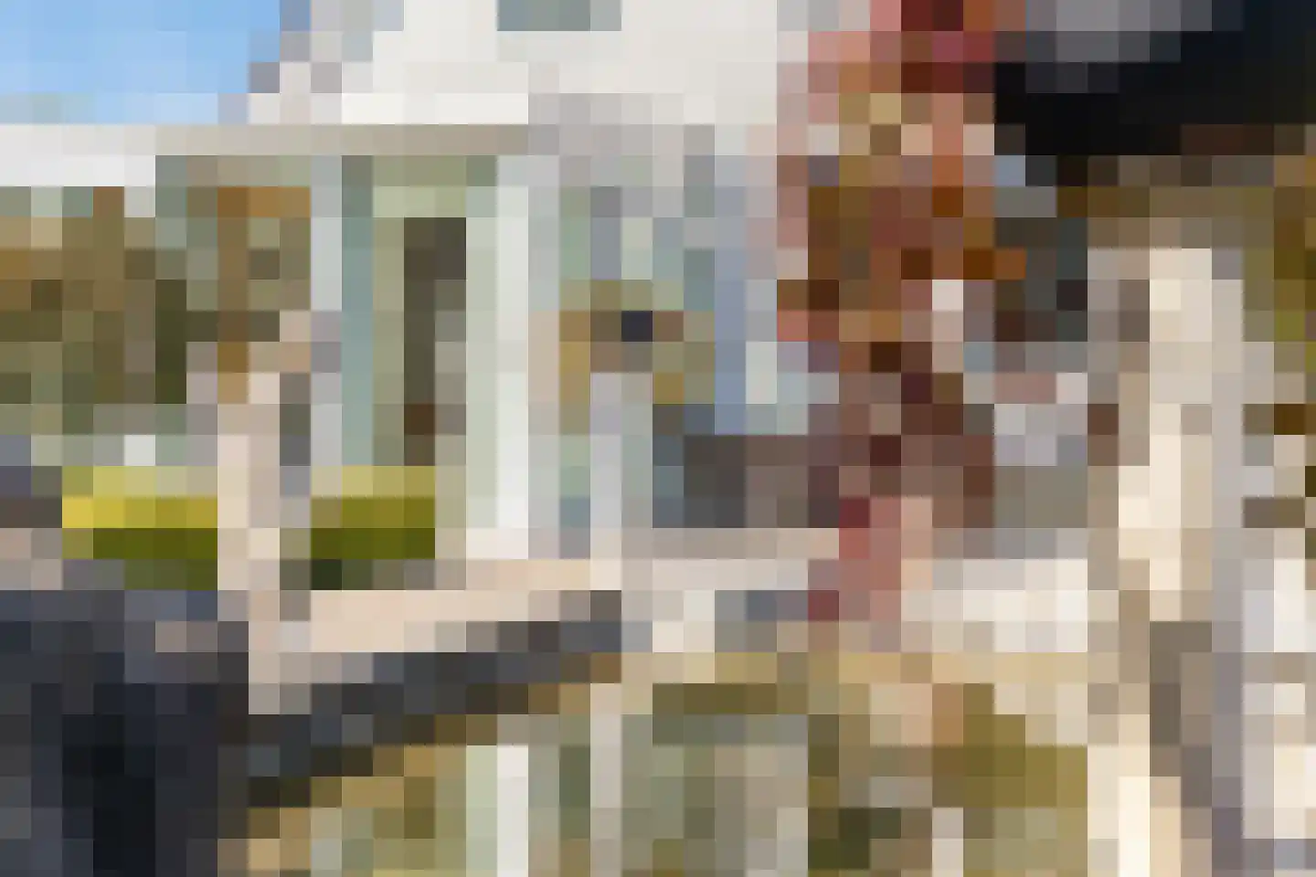 Blauwe Reiger 3 Oostkapelle thumbnail 52